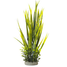 Produktbild von Nobby Aqua Ornaments Vallisneria Kunstpflanze für Süßwasser-Aquarien Grün 7 x 7 x 32,5 cm