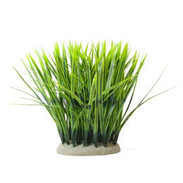 Produktbild von Nobby Aqua Ornaments Vallisneria Kunstpflanze für Süßwasser Aquariendekoration Grün 11,5 x 7 x 20 cm