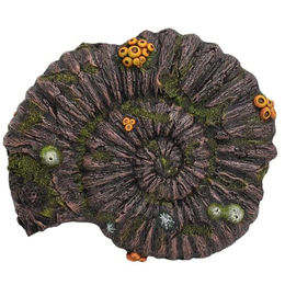 Nobby Aquariendekoration Ammoniten Fossil Figur und Höhle für Süßwasserfische – Bild 1 von 3