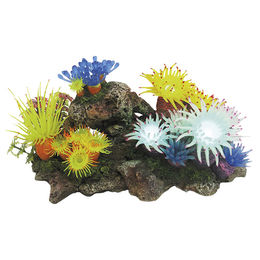 Produktbild von Nobby Aquariendekoration Aplysina Figur und Höhle mit Pflanzen und LED für Fische