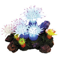 Produktbild von Nobby Aquariendekoration Aplysina mit Pflanzen und LED-Leuchten für Fische