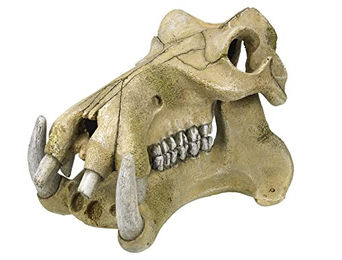 Nobby Aquariendekoration Flusspferd Schädel Figur und Höhle für Fische in Beige - 1 Stk. – Bild 1 von 3