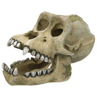 Produktbild von Nobby Aquariendekoration Gorilla Schädel Figur und Höhle in Beige für Fische - 1 Stk.