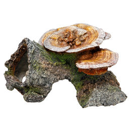 Nobby Aquariendekoration Holzhöhle mit Pilzen für Fische in Braun - 1 Stk. – Bild 1 von 2