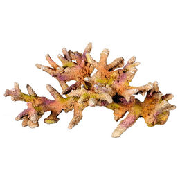 Produktbild von Nobby Aquariendekoration Koralle Figur und Höhle für Fische bunt