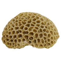 Produktbild von Nobby Aquariendekoration Koralle I Figur und Höhle Beige für Fische 10,8x9x5cm