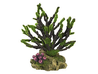 Nobby Aquariendekoration Koralle mit Moos Figur und Höhle für Fische – Bild 1 von 3