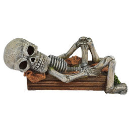 Produktbild von Nobby Aquariendekoration Liegendes Skelett Figur und Höhle für Fische in Beige
