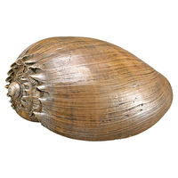 Produktbild von Nobby Aquariendekoration Muschel Figur und Höhle aus Kunstharz braun für Süßwasserfische - 1 Stk.