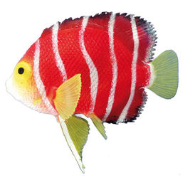 Produktbild von Nobby Aquariendekoration Skalar Figur und Höhle aus Polyester in Rot für Süßwasser-Aquarien