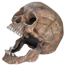 Nobby Aquariendekoration Totenkopf Figur und Höhle für Fische 13,5 x 20 x 16,5 cm – Bild 1 von 2