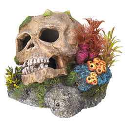 Nobby Aquariendekoration Totenkopf mit Pflanzen Figur und Höhle für Fische 13,5 x 13,5 x 10,5 cm – Bild 1 von 4