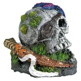 Produktbild von Nobby Aquariendekoration Totenkopf mit Seestern Figur und Höhle aus Kunstharz in Grau für Fische