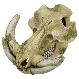 Produktbild von Nobby Aquariendekoration Warzenschwein Schädel aus Kunstharz für Fische in Beige - 1 Stk.
