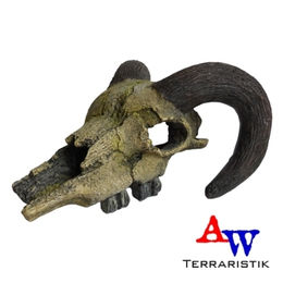 Nobby Aquariendekoration Widderschädel Figur und Höhle für Fische 17,5 x 16 x 9,5 cm – Bild 1 von 3