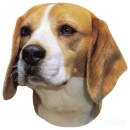 Nobby Aufkleber Beagle – Bild 1 von 1