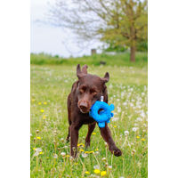 Produktbild von Nobby Biber Floating Hundespielzeug aus Neopren in Blau und Grau 27 cm - 1 Stk.