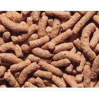 Produktbild von Nobby Color-Enhancing Teichsticks Farbfutter für Kaltwasserfische 3000 ml - 3 l