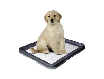 Nobby Doggy Trainer Ersatzpads Welpenunterlagen für Welpen Größe M 24 Stück Blau – Bild 1 von 3