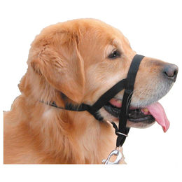 Nobby Easy Leader Erziehungshalsband für Hunde Riesenrassen Schwarz XL – Bild 1 von 6