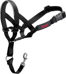 Nobby Erziehungshalsband für Hunde aus Nylon in Schwarz 31-40 cm - 1 Stk. – Bild 1 von 3