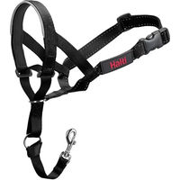 Produktbild von Nobby Erziehungshalsband für Hunde aus Nylon in Schwarz 31-40 cm - 1 Stk.