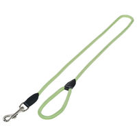 Produktbild von Nobby Führleine Fun Royal neo grün aus Nylon 120 cm