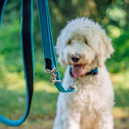 Nobby Führleine Mesh Preno für Hunde Rosa L 200 cm – Bild 1 von 2