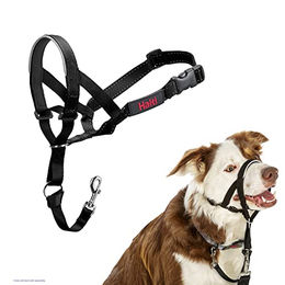 Nobby Halti Erziehungshalsband für Hunde aus Nylon Schwarz Größe M – Bild 1 von 9