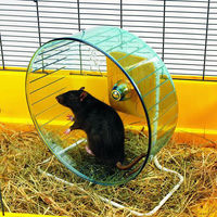 Produktbild von Nobby Hamsterrolle Rolly Giant Laufrad für Hamster und Ratten aus Kunststoff mit 27,5 cm Durchmesser