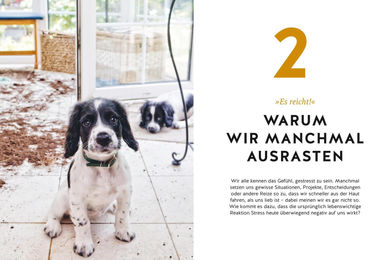 Nobby Hunde erziehen ohne Schimpfen Buch von Alexander Schillack – Bild 1 von 5