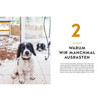 Produktbild von Nobby Hunde erziehen ohne Schimpfen Buch von Alexander Schillack