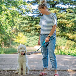 Nobby Hundeführleine Mesh Preno Nylon Schwarz L 200 cm – Bild 1 von 3