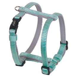 Nobby Hundegeschirr Classic Preno Mini für Welpen aus Nylon in Mint – Bild 1 von 2