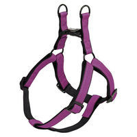 Produktbild von Nobby Hundegeschirr Classic Reflect Soft aus Nylon lila schwarz Größe S