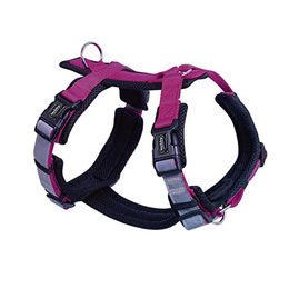 Nobby Hundegeschirr Daily Walk Comfort Beere Lila Größe S aus Meshgewebe – Bild 1 von 3