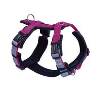 Produktbild von Nobby Hundegeschirr Daily Walk Comfort Beere Lila Größe S aus Meshgewebe
