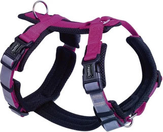 Nobby Hundegeschirr Daily Walk Comfort Himbeere Rosa Größe L – Bild 1 von 3