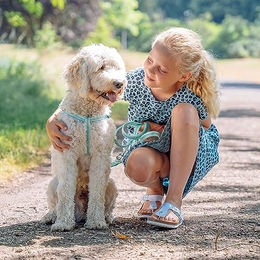 Nobby Hundegeschirr Soft Grip aus Nylon lila Brustumfang 50-72 cm – Bild 1 von 4