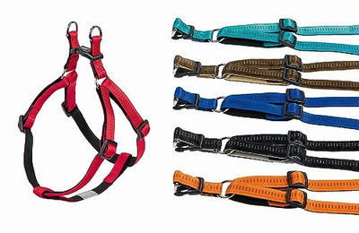 Nobby Hundegeschirr Soft Grip XS Rot aus Nylon für kleine Hunde - 1 Stk. – Bild 1 von 5