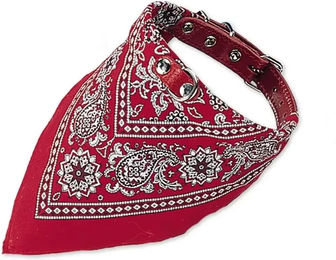 Nobby Hundehalsband aus Leder mit Bandana in Rot 35 cm – Bild 1 von 5