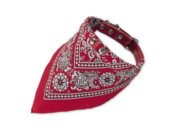 Nobby Hundehalsband aus Leder mit Bandana Rot Größe L 60 cm - 60 cm – Bild 1 von 2