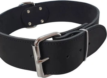 Nobby Hundehalsband aus Leder Schwarz Größe XXL – Bild 1 von 2