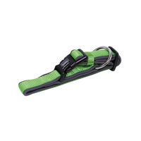 Produktbild von Nobby Hundehalsband Classic Preno aus Nylon in Grün/Grau Größe L 25-35 cm - 1 Stk.