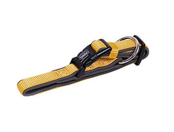 Nobby Hundehalsband Classic Preno aus Nylon in Orange/Grau Größe XS – Bild 1 von 2