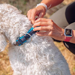 Nobby Hundehalsband Mesh Preno Grau Größe L – Bild 1 von 3