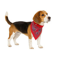 Produktbild von Nobby Hundehalsband mit Tuch aus Leder in Rot Länge 40 cm