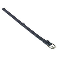 Produktbild von Nobby Hundehalsband Pacific aus Leder grau 27 cm