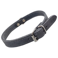 Produktbild von Nobby Hundehalsband Pet Tabil aus Leder Grau Größe S
