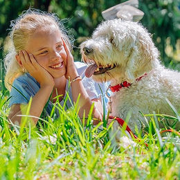 Nobby Hundehalsband Soft Grip aus Nylon lila Größe L 40-55 cm – Bild 1 von 3